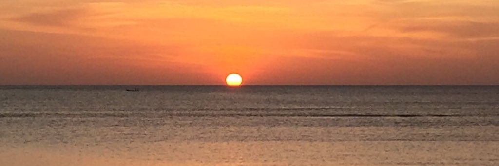 tpreflex's profile banner image
