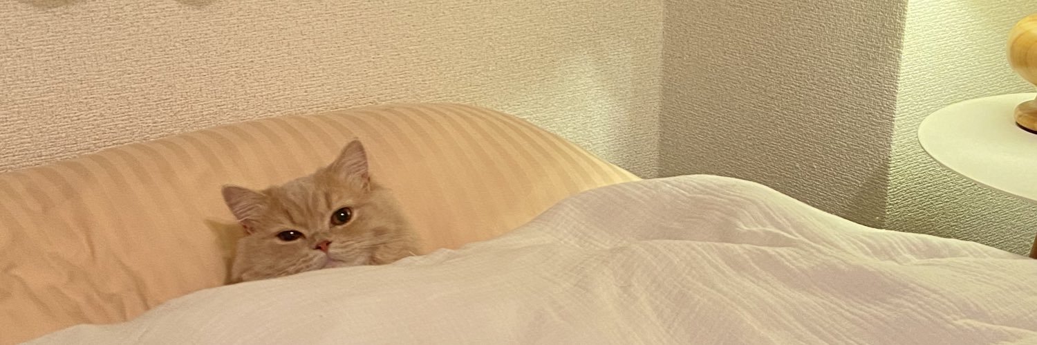 hinapy428's profile banner image
