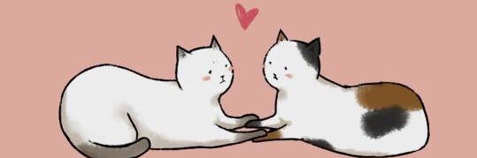 Ta8_Meaw's profile banner image