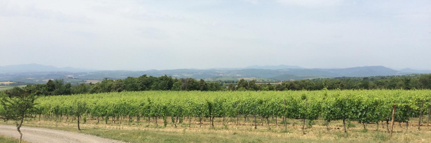 PodereBrizio's profile banner image