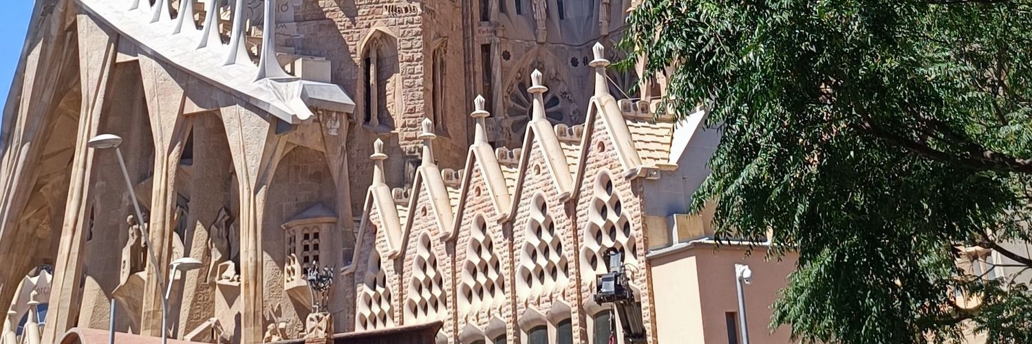 Non Gradum Retro banner