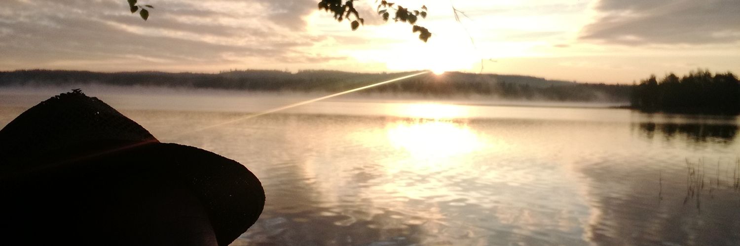 LinnaTapani's profile banner image