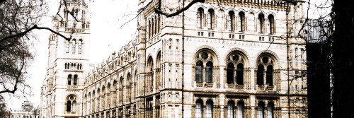dunsheart's profile banner image