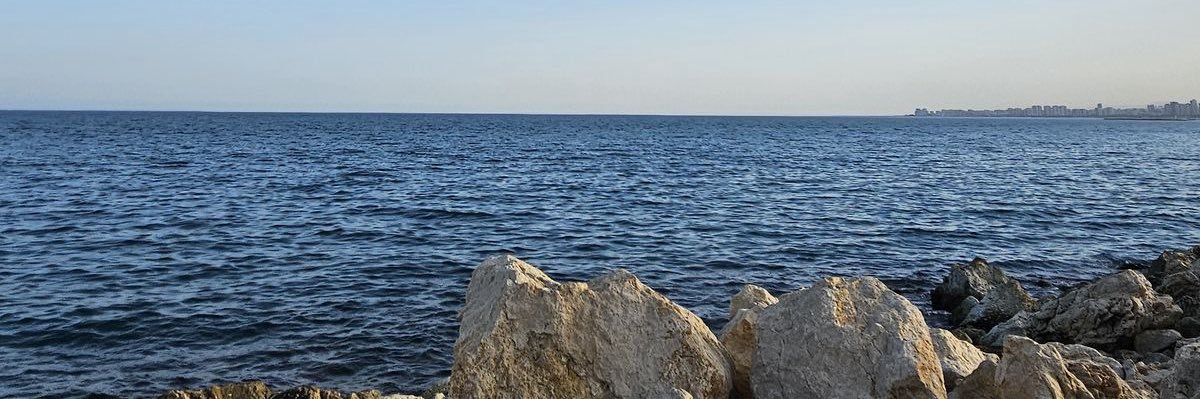 margotcond's profile banner image