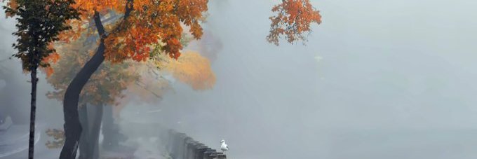 moralobo13's profile banner image