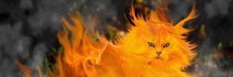 😼HercKitty😼 banner