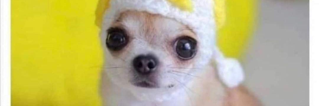 adrianevg's profile banner image