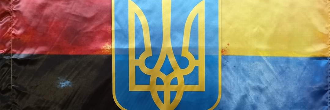 Петро Лепесій's banner
