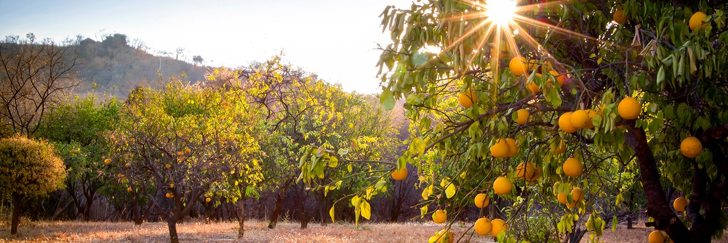 Dynamax, Inc. banner