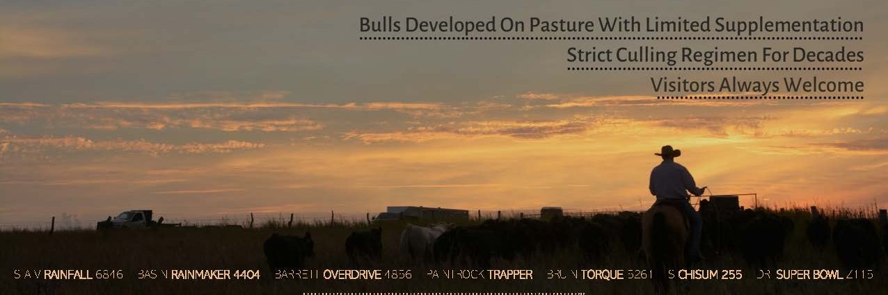 BarrettCattle's profile banner image