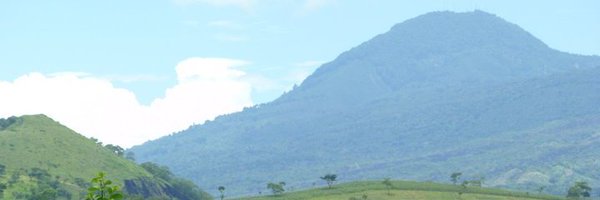 uclaLAI Profile Banner