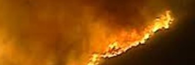 AlcedoJosePeru's profile banner image