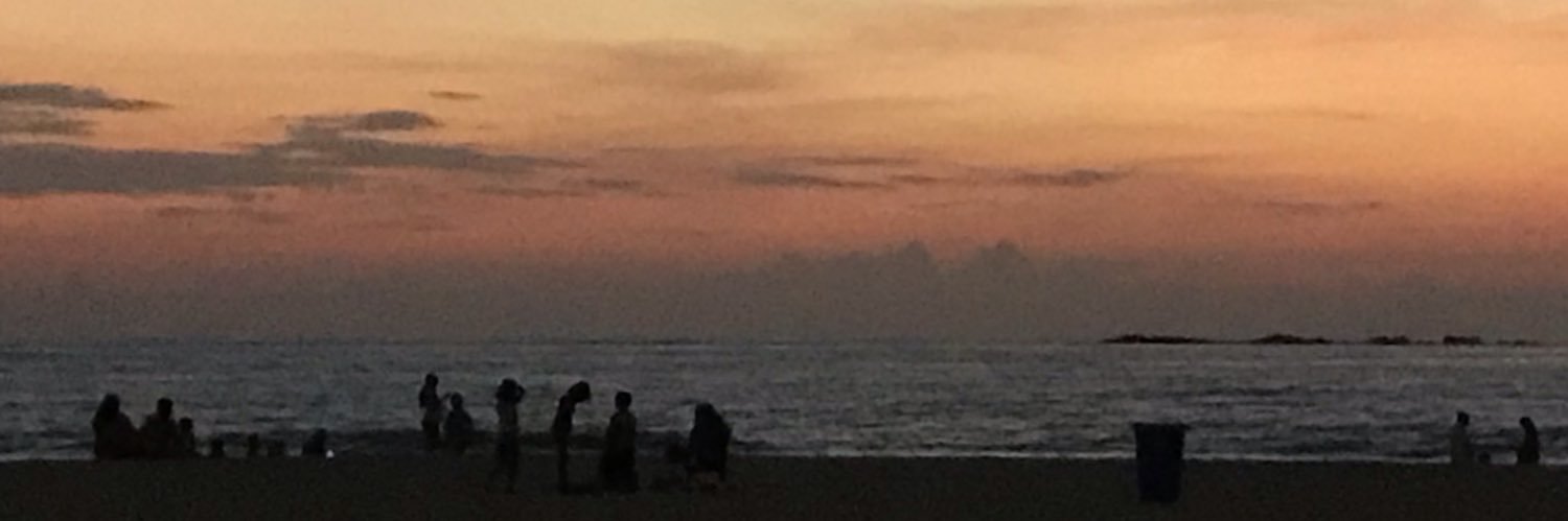 foxykishore's profile banner image