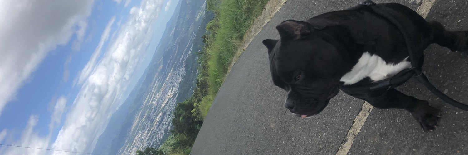 Hectiitor_'s profile banner image