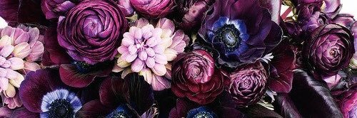 steffi (❛◡❛✿) banner