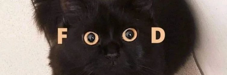 MateusCastroR's profile banner image