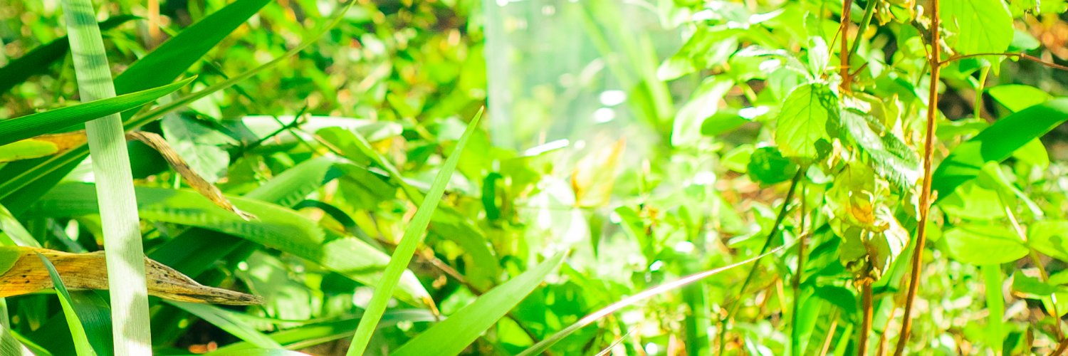 DOLMENFIEND's profile banner image