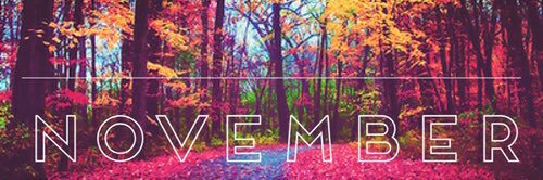 slsapeel's profile banner image
