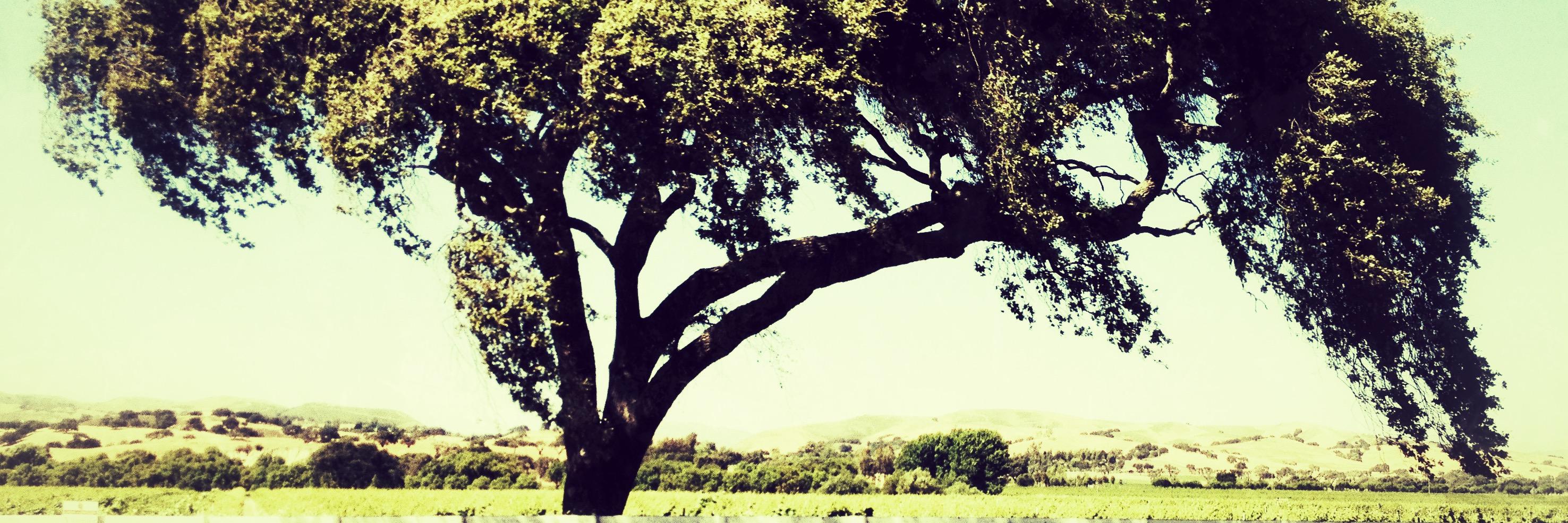 John W Stodder Jr banner