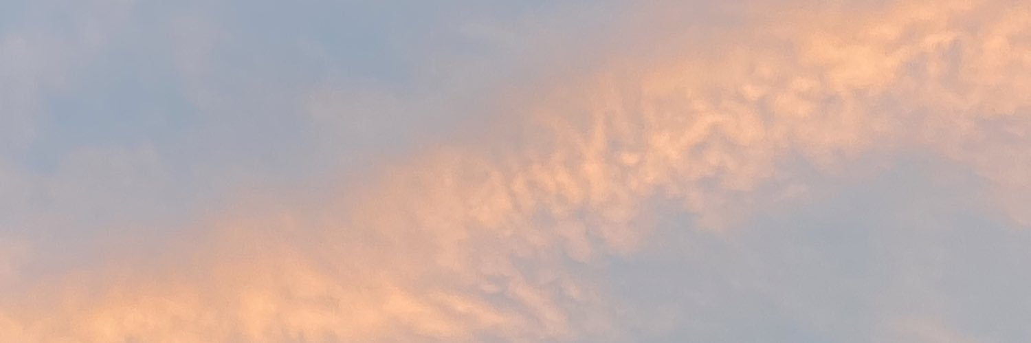 rocibenii's profile banner image