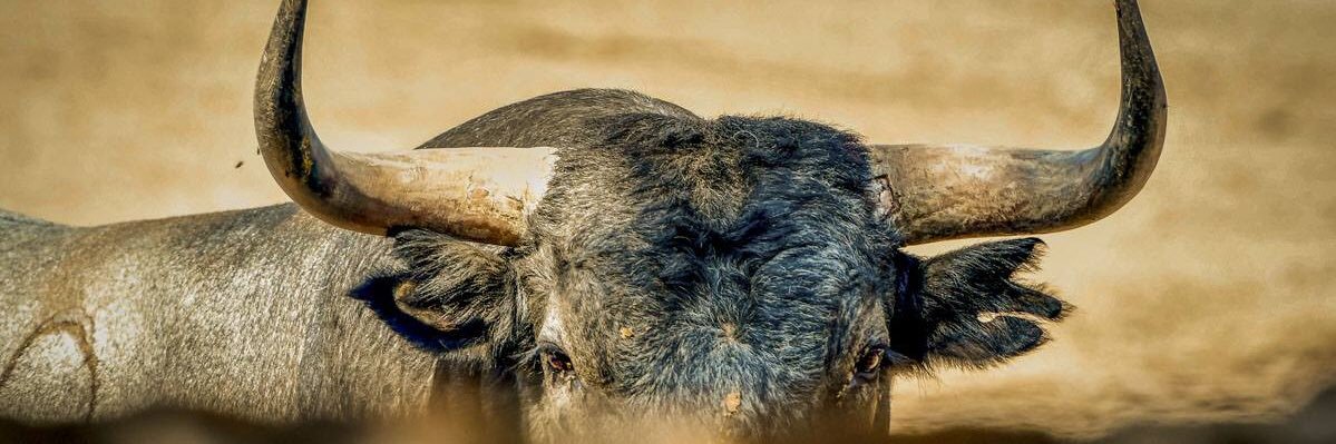 a__lejandro1's profile banner image