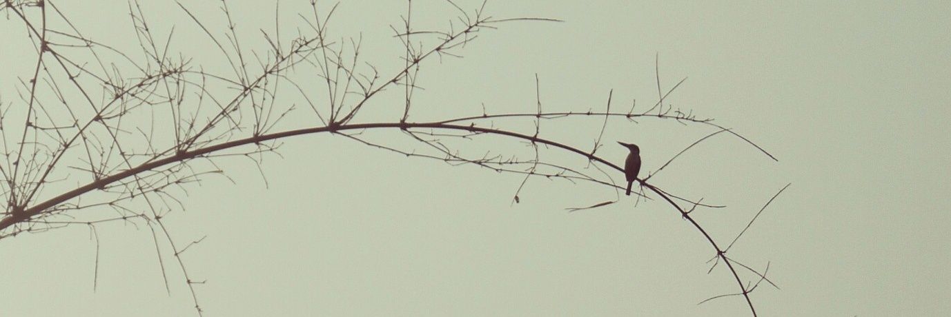 EeeDeePee's profile banner image