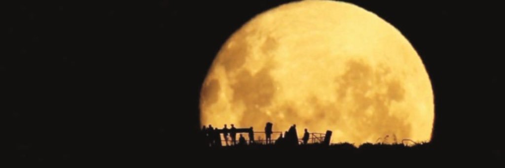 valevale74's profile banner image