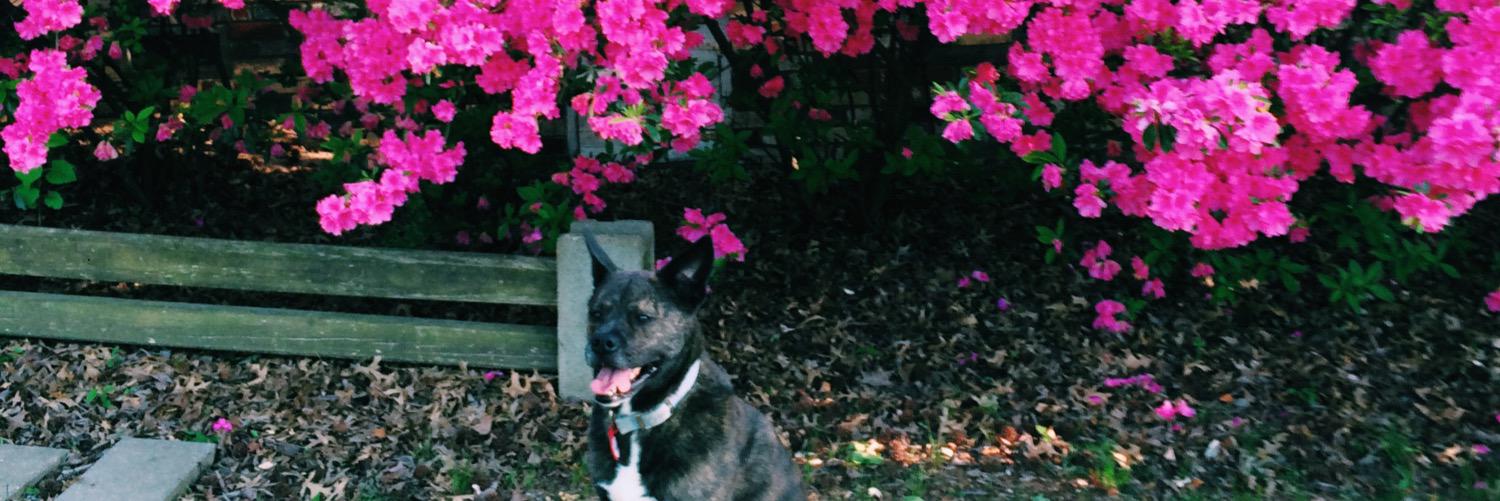 MeagEB's profile banner image