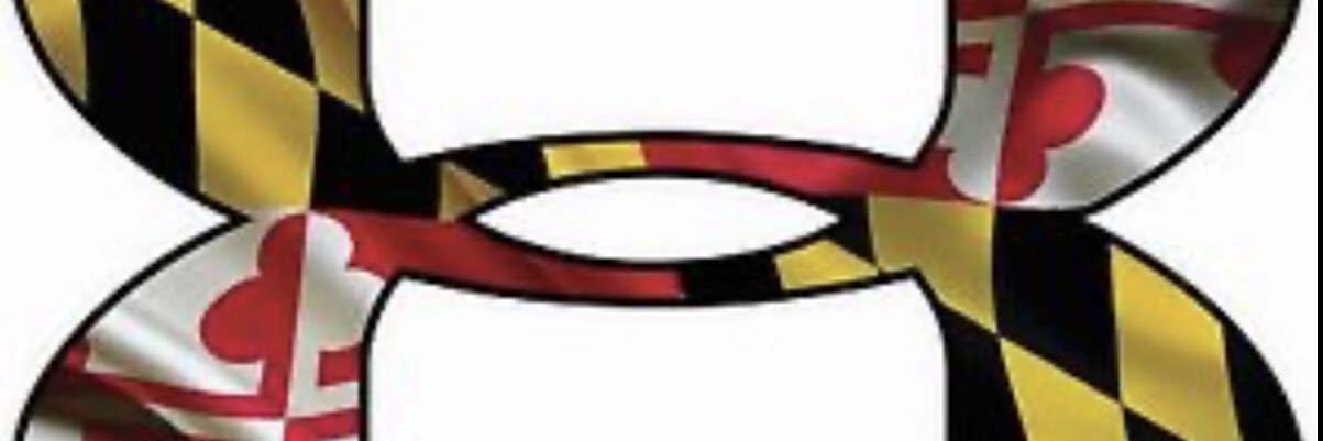 UA Team Intensity MD banner