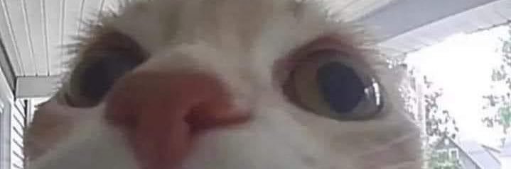TeeBrothers's profile banner image