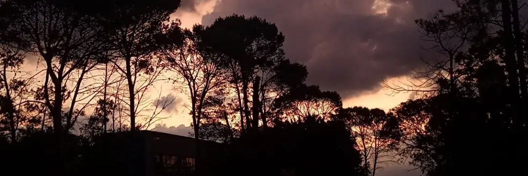 Juliさん が死んだ夏 banner