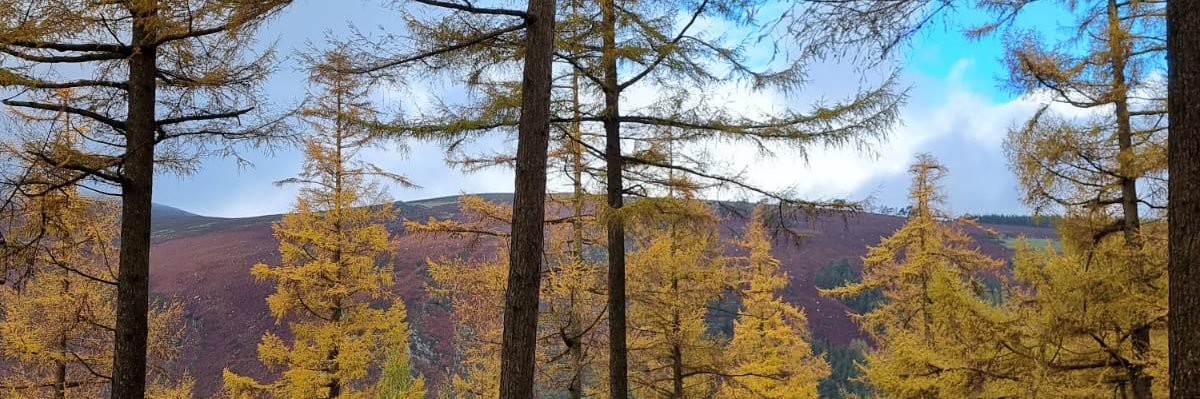 justbehappii's profile banner image