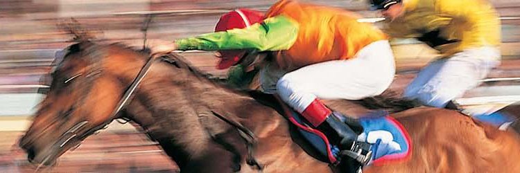 CAJO Courses banner