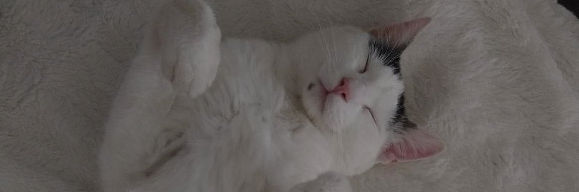 mailyssgj's profile banner image