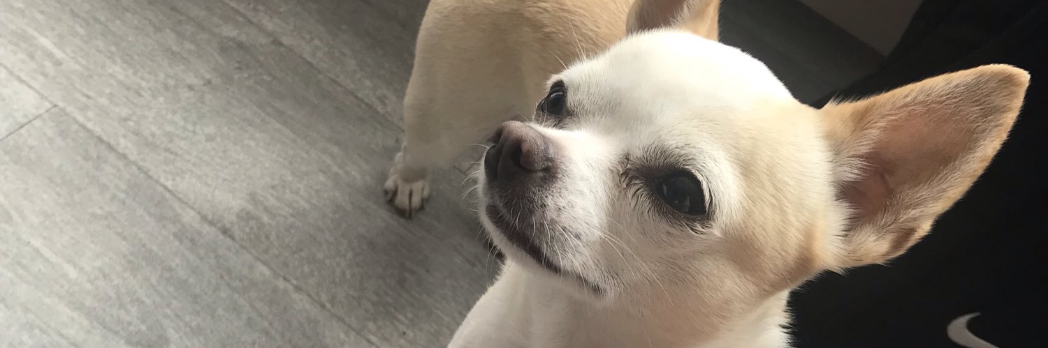 abdab_'s profile banner image