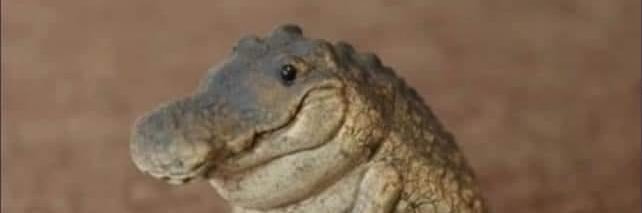 Michael ✝️🇻🇦🇳🇴 banner