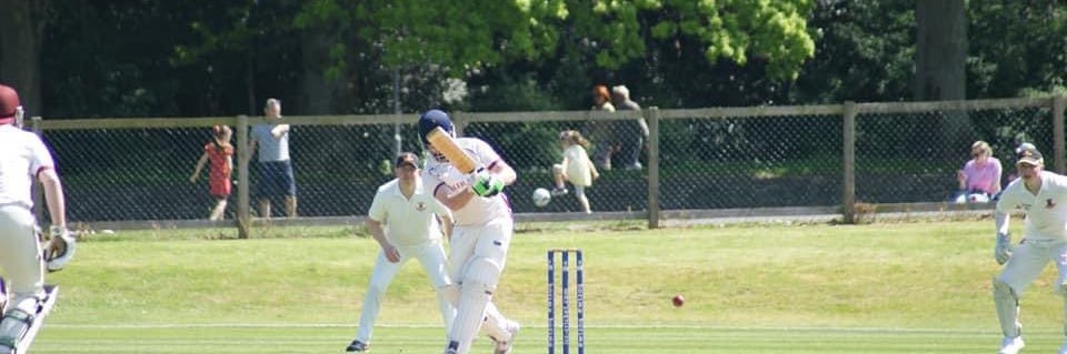 Robert Delaney banner