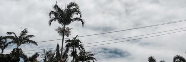 IG : @wanele__ banner