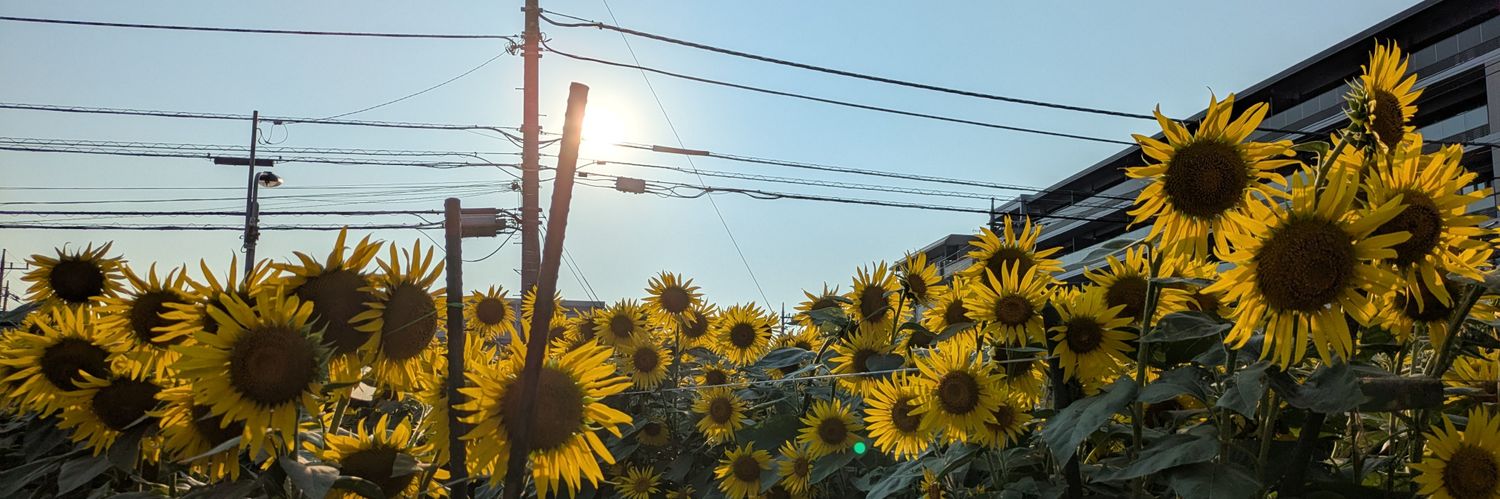 tami1612's profile banner image