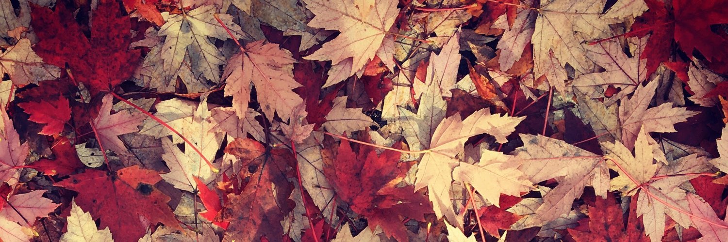 Kaylin Ratner banner