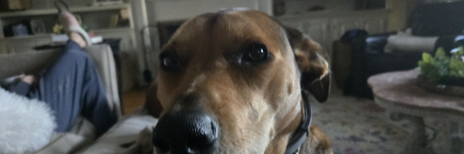 crowdaddy738's profile banner image