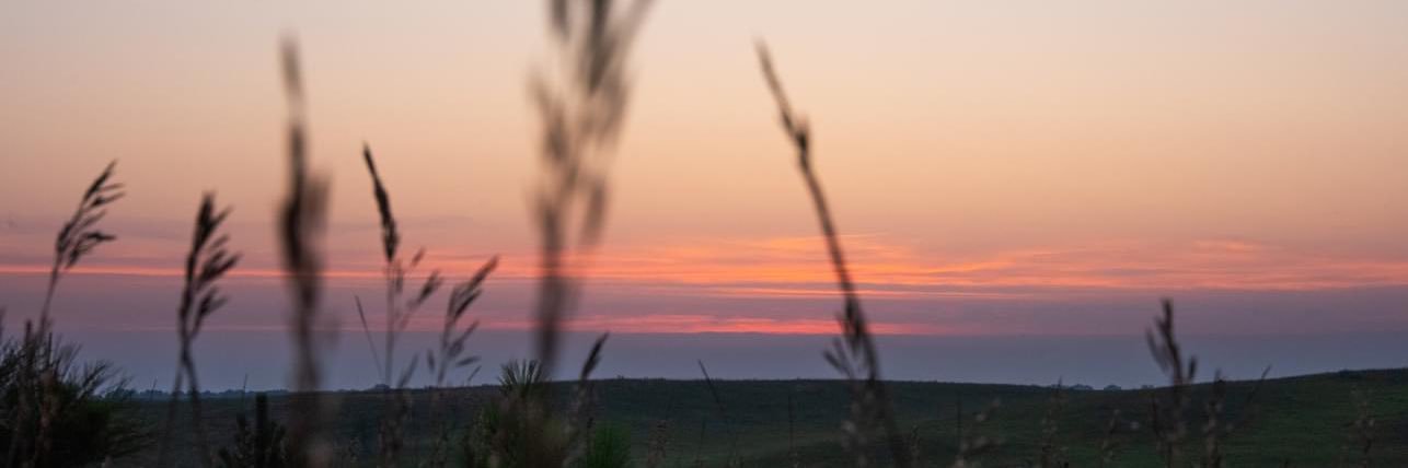 Prairie Pothole Music Festival banner
