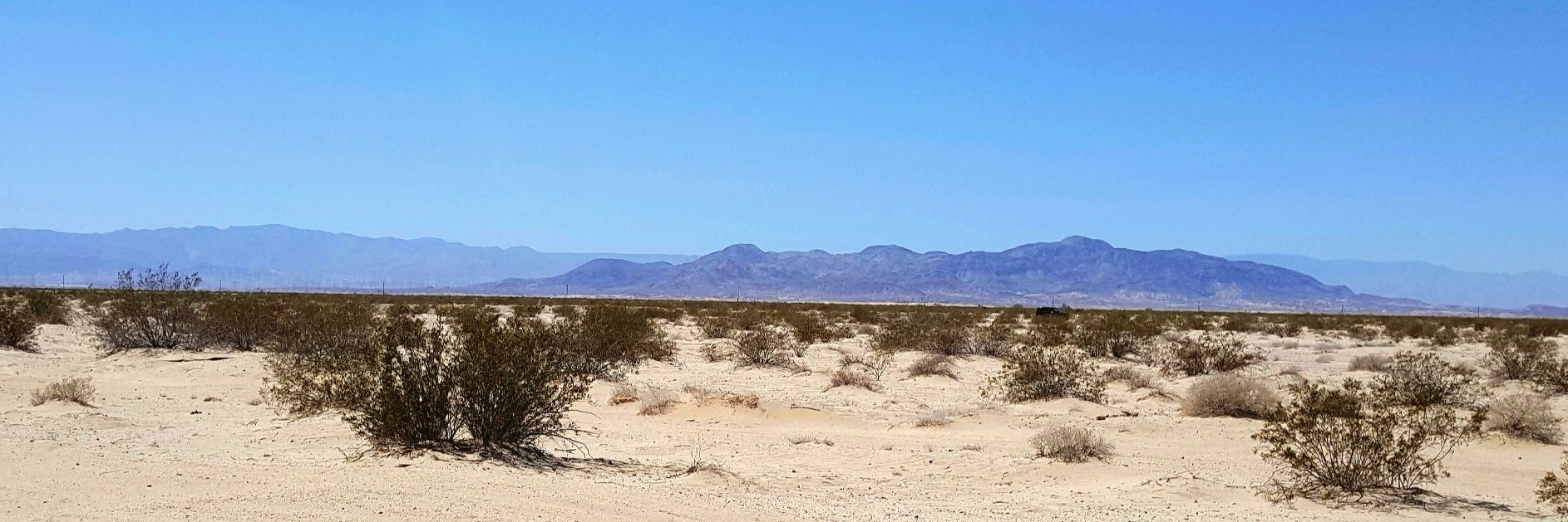 Doc McMuffins banner