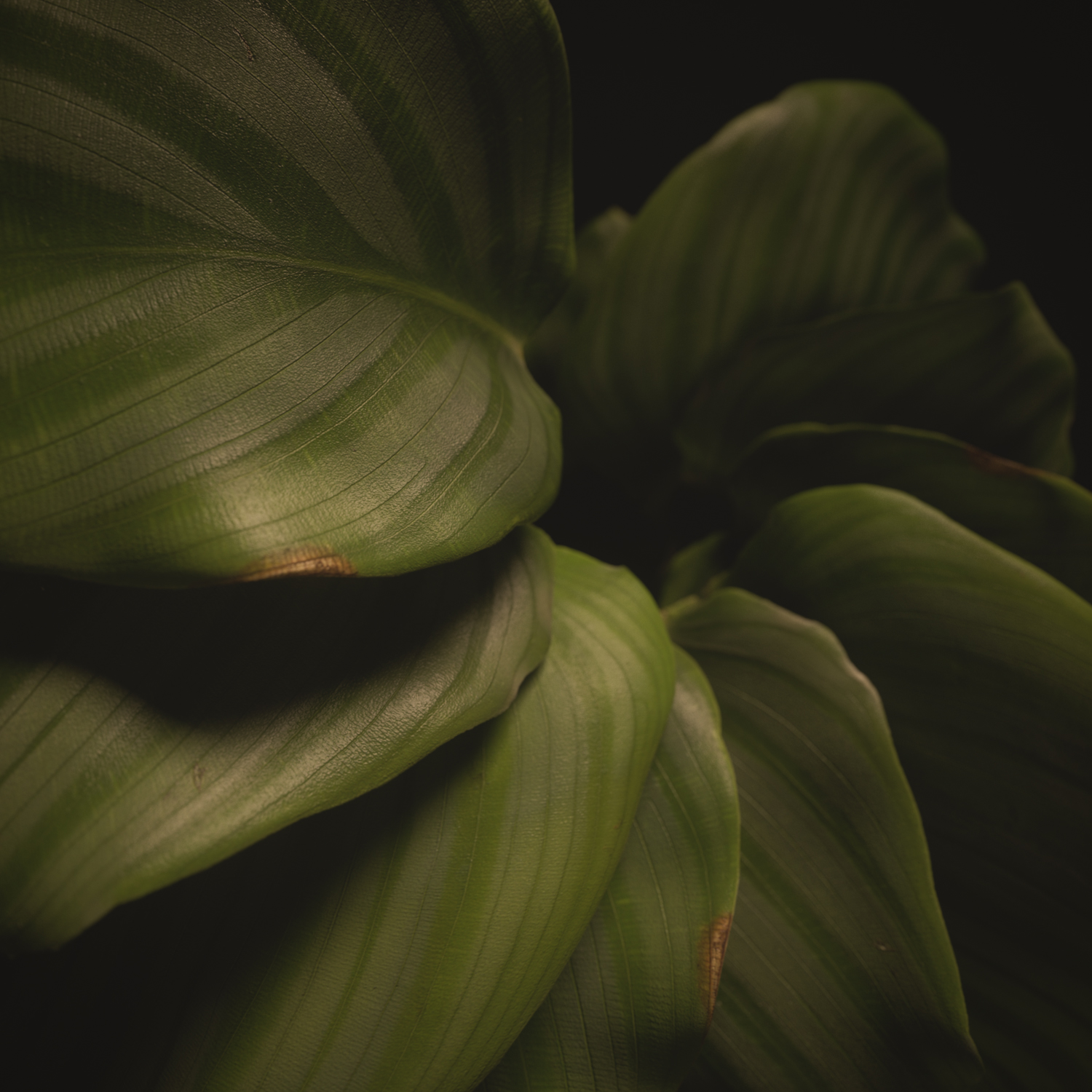 tadner3D's profile banner image
