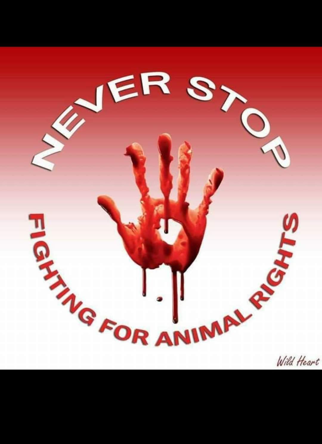 animallover1408's profile banner image
