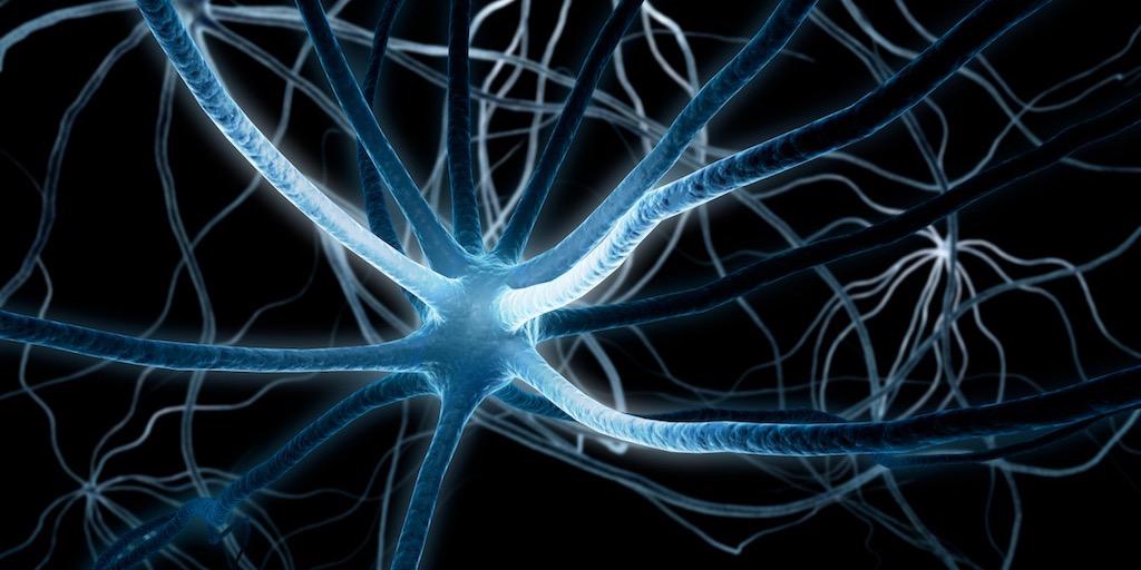 Stuart Crouch banner