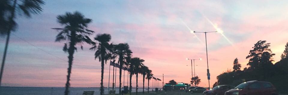 Jess banner