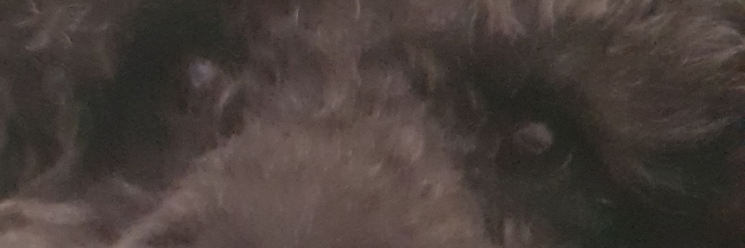 MummyJenPen's profile banner image