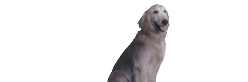 goopboys's profile banner image