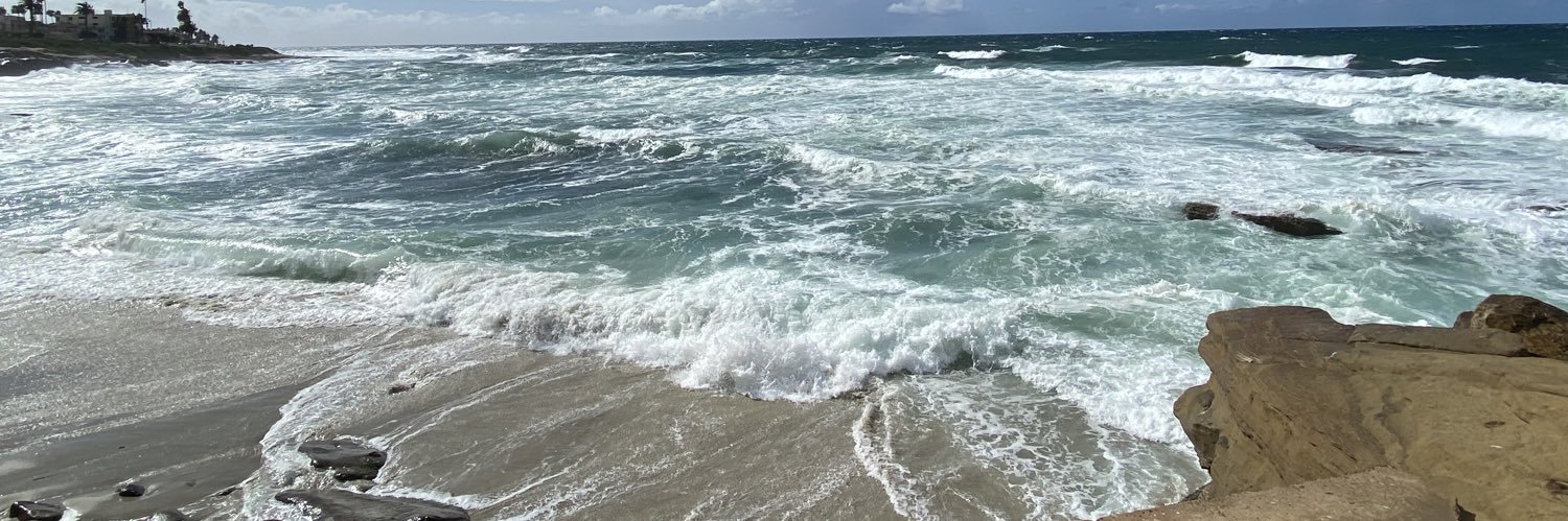 Stephanie Westerberg banner